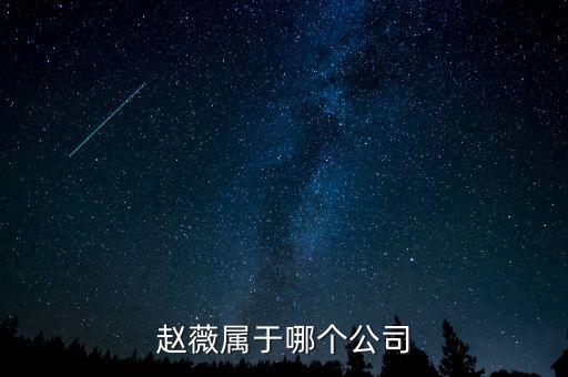 趙薇屬于哪個(gè)公司