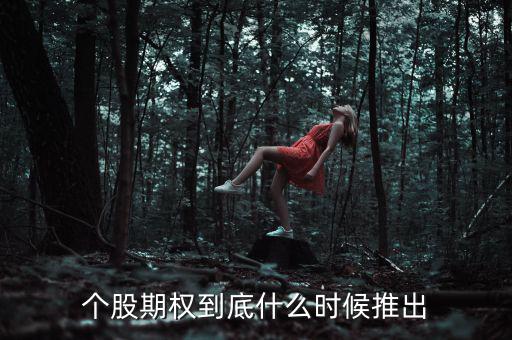 什么時候推出個股期權(quán)，股票期權(quán)什么時間開始