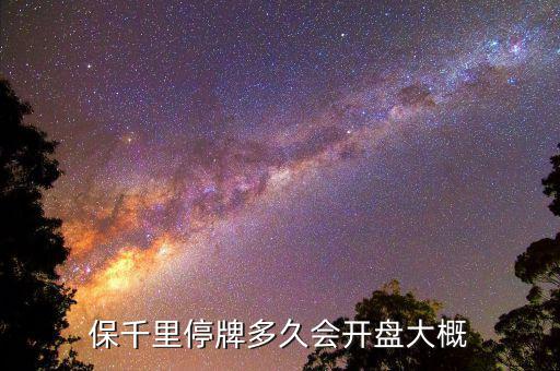 保千里什么時間上市，保千里什么時候復牌