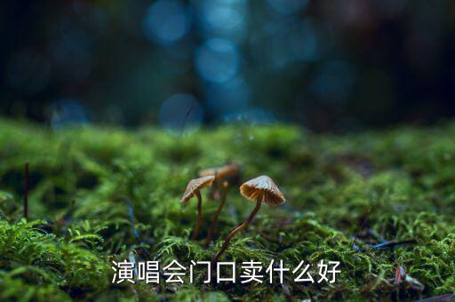 演唱會(huì)門(mén)口賣(mài)什么好