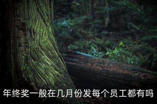 年終獎(jiǎng)一般在幾月份發(fā)每個(gè)員工都有嗎