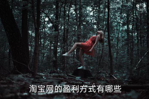 淘寶怎么贏利,淘寶-1/支付寶業(yè)務(wù)充分調(diào)動(dòng)買家閑置資金