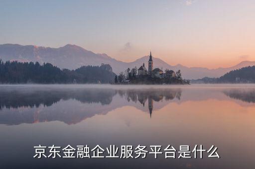 金融平臺是什么，金融借貸中介平臺到底是什么