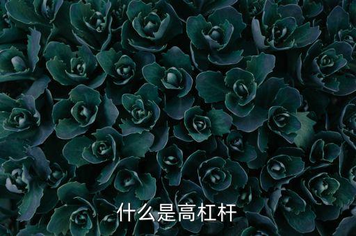 什么是高杠桿