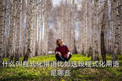 什么是程式化，幼兒園程式化活動是什么意思