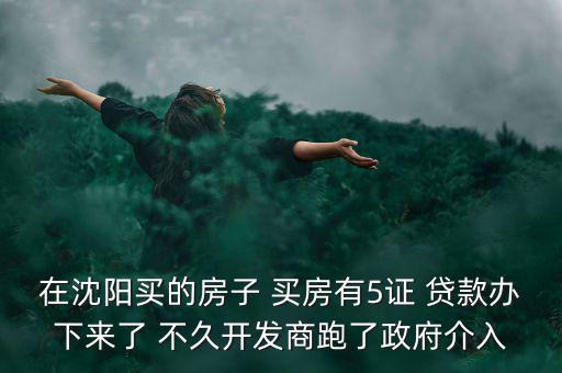 在沈陽買的房子 買房有5證 貸款辦下來了 不久開發(fā)商跑了政府介入