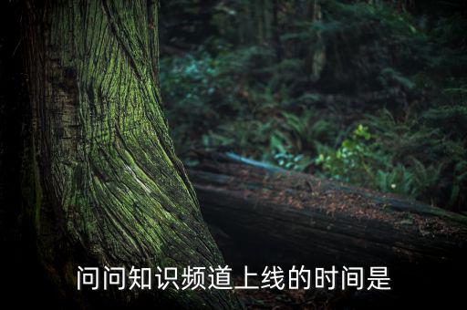 愛網(wǎng)貸平臺(tái)什么時(shí)候上線，問問知識(shí)頻道上線的時(shí)間是