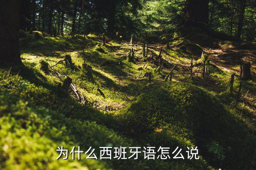 為什么西班牙語怎么說