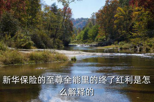 新華保險(xiǎn)的終了紅利是什么意思，什么叫終了紅利