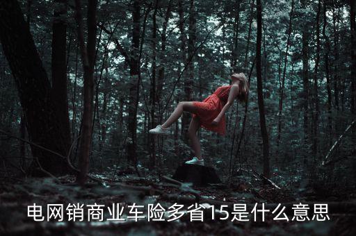 電網(wǎng)銷是什么意思，電網(wǎng)銷商業(yè)車險(xiǎn)多省15是什么意思