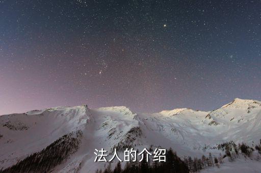 法人渠道是什么意思，法人的介紹