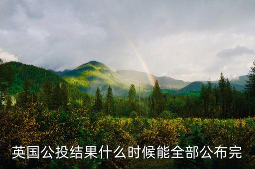 英國公投結(jié)果什么時候能全部公布完