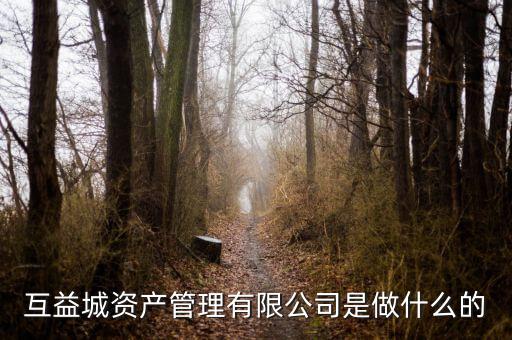 互益城資產管理有限公司是做什么的