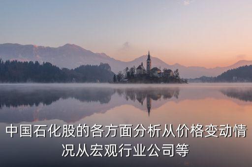 中國石化股的各方面分析從價格變動情況從宏觀行業(yè)公司等