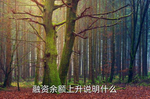 濰柴融資額度很高說明什么，融資余額上升說明什么