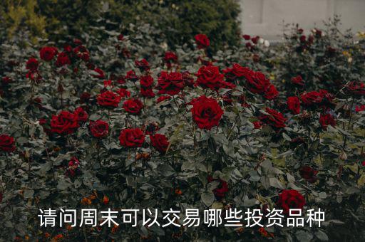 請問周末可以交易哪些投資品種