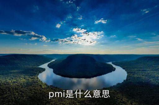 pmi是什么意思