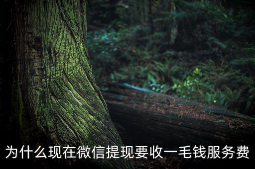 微信提現(xiàn)為什么要收費(fèi)，為什么現(xiàn)在微信提現(xiàn)要收一毛錢(qián)服務(wù)費(fèi)