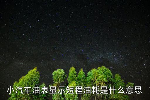 油耗顯示是指什么，請教專業(yè)人士瞬時油耗顯示是什么意思