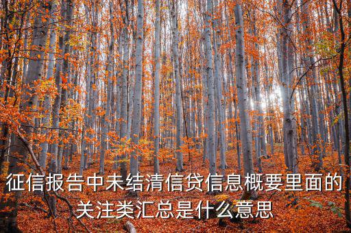 征信報告中未結(jié)清信貸信息概要里面的關(guān)注類匯總是什么意思