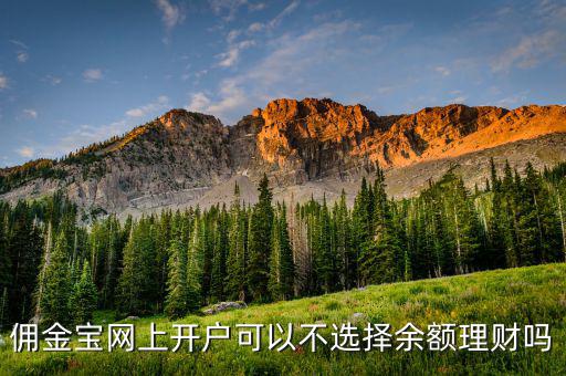 傭金寶網(wǎng)上開(kāi)戶可以不選擇余額理財(cái)嗎