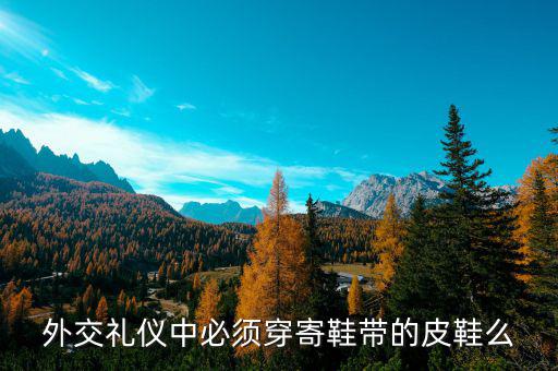外交禮儀中必須穿寄鞋帶的皮鞋么