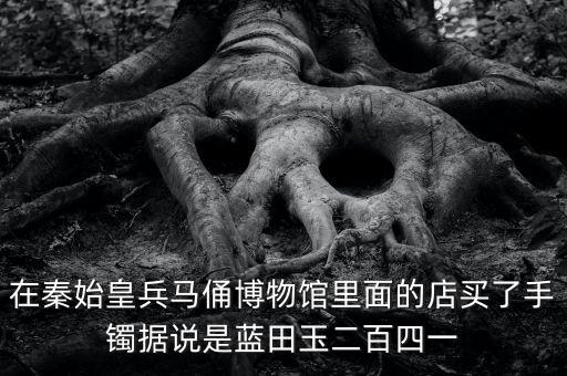 在秦始皇兵馬俑博物館里面的店買了手鐲據(jù)說(shuō)是藍(lán)田玉二百四一