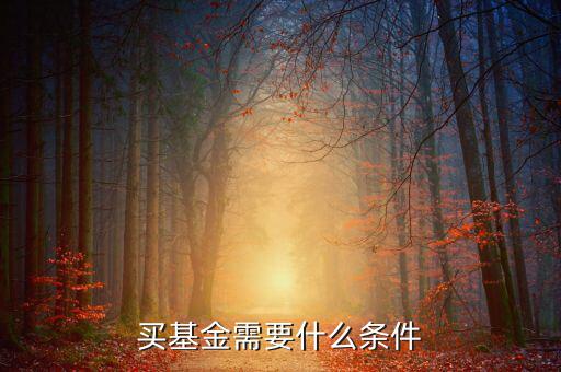 買(mǎi)基金有什么條件，買(mǎi)基金都需要什么條件啊