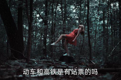 為什么高鐵沒有站票，為什么高鐵沒有站票