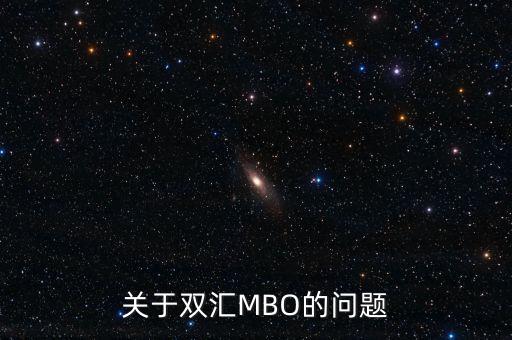 關于雙匯MBO的問題