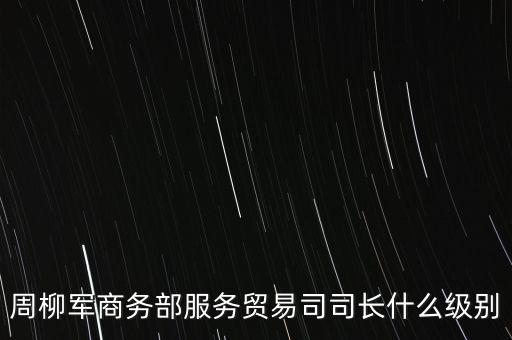 周柳軍商務部服務貿易司司長什么級別