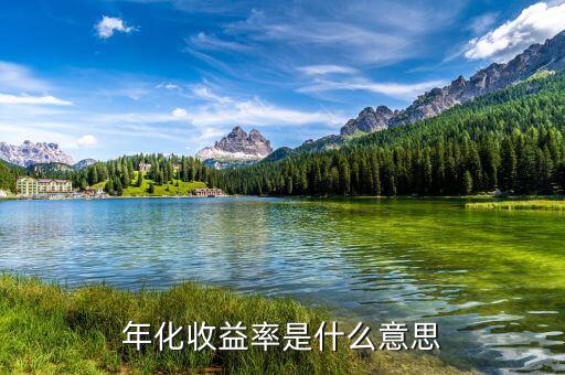 14日年化收益率是什么意思，年化收益率什么意思