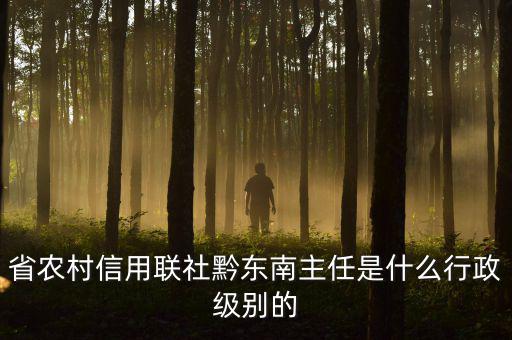 省農村信用聯社黔東南主任是什么行政級別的