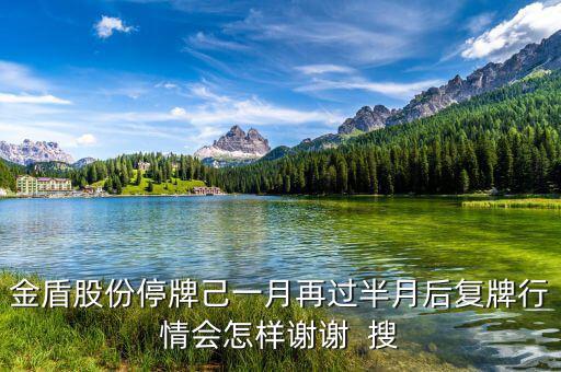 金盾股份停牌己一月再過半月后復(fù)牌行情會(huì)怎樣謝謝  搜