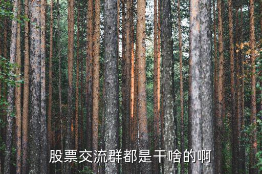 股吧里加群是什么，東方財(cái)富網(wǎng)股吧 里說的 群怎么加