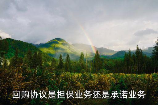 資產(chǎn)回購協(xié)議屬什么合同，股權(quán)轉(zhuǎn)讓及回購協(xié)議屬于借款合同嗎