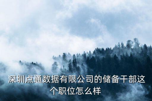  深圳點通數(shù)據(jù)有限公司的儲備干部這個職位怎么樣