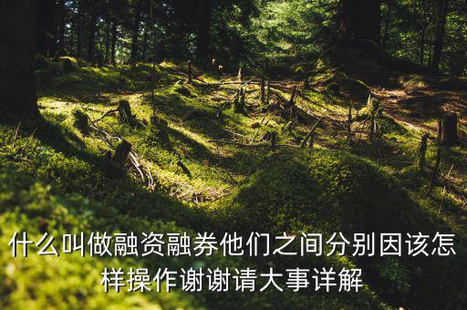 什么叫做融資融券他們之間分別因該怎樣操作謝謝請大事詳解