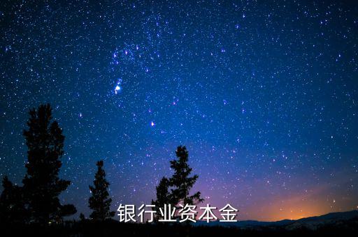 銀行資本金是什么，銀行業(yè)資本金