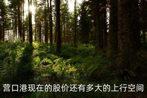 營口港為什么漲停，營口港股票怎么了