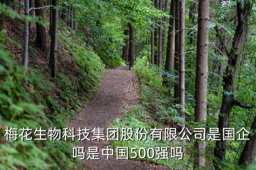梅花生物是什么板塊，梅花生物科技集團股份有限公司是國企嗎是中國500強嗎