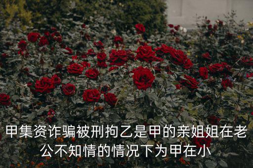 甲集資詐騙被刑拘乙是甲的親姐姐在老公不知情的情況下為甲在小