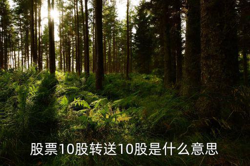 十股轉(zhuǎn)贈十股是什么意思，股票10股轉(zhuǎn)送10股是什么意思