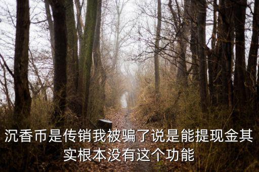 沉香幣是傳銷我被騙了說(shuō)是能提現(xiàn)金其實(shí)根本沒(méi)有這個(gè)功能