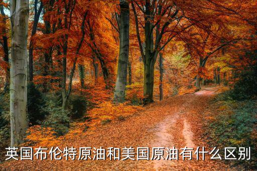 布油與美國(guó)原油有什么不同，英國(guó)布倫特原油和美國(guó)原油有什么區(qū)別