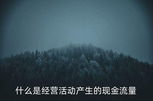 經(jīng)營現(xiàn)金流是什么，什么是每股經(jīng)營現(xiàn)金流