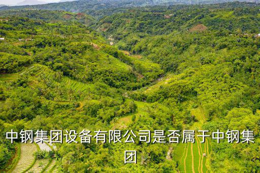 中鋼集團設備有限公司是否屬于中鋼集團
