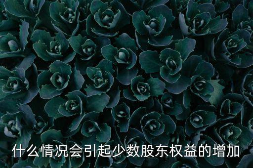 什么情況會引起少數股東權益的增加