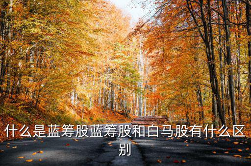 什么是藍(lán)籌股藍(lán)籌股和白馬股有什么區(qū)別