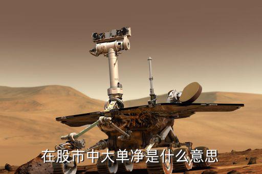 大單凈值什么意思，大單凈比是什么意思